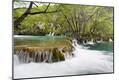 Photographic Print