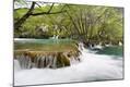Photographic Print