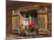Premium Photographic Print