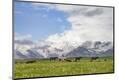 Photographic Print