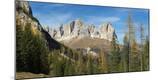 Photographic Print