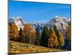 Photographic Print