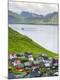 Photographic Print