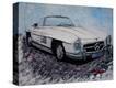 Stretched Canvas Print
