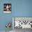 Martina Hingis-null-Photo displayed on a wall