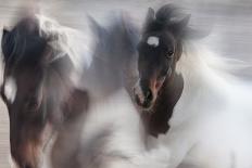 Runaway horse-Martine Benezech-Photographic Print