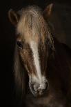 Runaway horse-Martine Benezech-Photographic Print