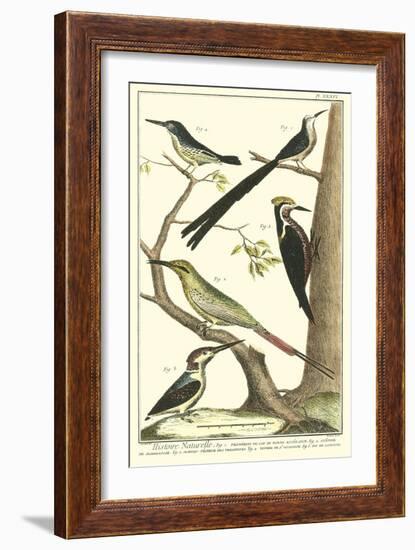 Martinet Bird Family III-Martinet-Framed Art Print