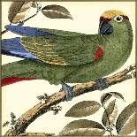 Tropical Parrot I-Martinet-Art Print