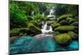 Photographic Print