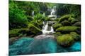 Photographic Print