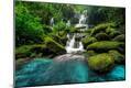 Photographic Print