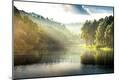 Photographic Print