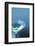 Martini 5-John Gusky-Framed Photographic Print