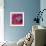 Martini in Magenta-Patti Mollica-Framed Premium Giclee Print displayed on a wall