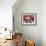 Martini Time-Jennifer Garant-Framed Giclee Print displayed on a wall