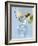 Martini with Olives-Steve Lupton-Framed Photographic Print