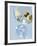 Martini with Olives-Steve Lupton-Framed Photographic Print