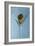 Martini-Gordon Semmens-Framed Photographic Print