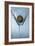 Martini-Gordon Semmens-Framed Photographic Print