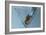 Martini-Gordon Semmens-Framed Photographic Print