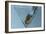 Martini-Gordon Semmens-Framed Photographic Print