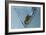 Martini-Gordon Semmens-Framed Photographic Print