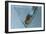 Martini-Gordon Semmens-Framed Photographic Print