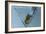 Martini-Gordon Semmens-Framed Photographic Print