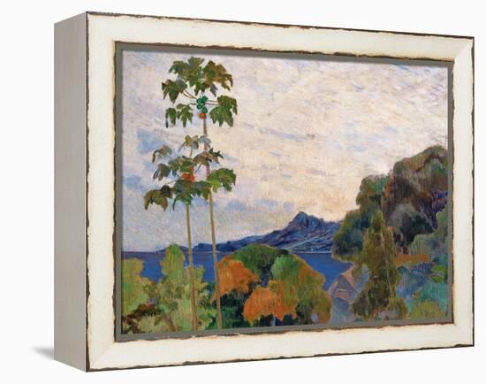 Martinique Landscape, 1887 (Detail)-Paul Gauguin-Framed Premier Image Canvas