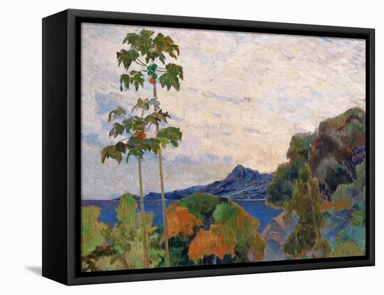 Martinique Landscape, 1887 (Detail)-Paul Gauguin-Framed Premier Image Canvas