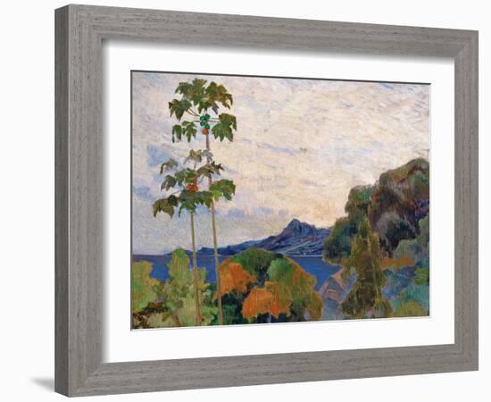 Martinique Landscape, 1887 (Detail)-Paul Gauguin-Framed Giclee Print