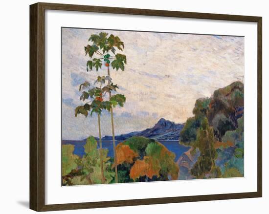 Martinique Landscape, 1887 (Detail)-Paul Gauguin-Framed Giclee Print