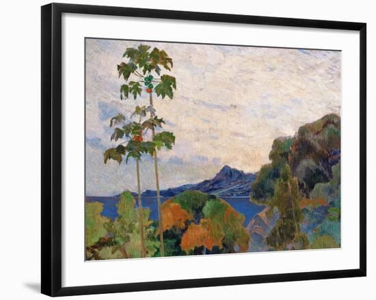 Martinique Landscape, 1887 (Detail)-Paul Gauguin-Framed Giclee Print