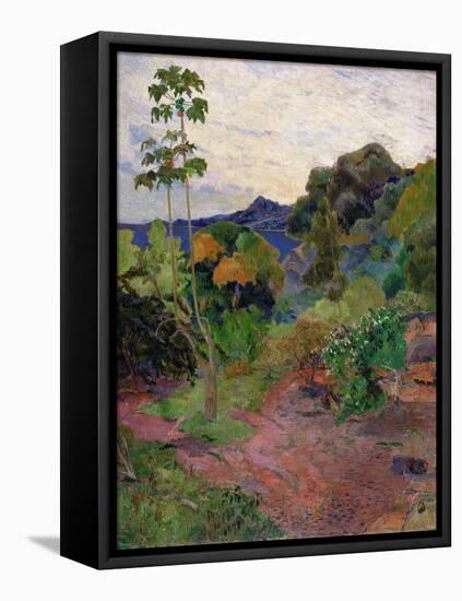 Martinique Landscape, 1887-Paul Gauguin-Framed Premier Image Canvas