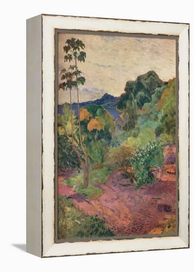 'Martinique Landscape', 1887-Paul Gauguin-Framed Premier Image Canvas