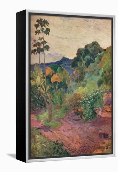 'Martinique Landscape', 1887-Paul Gauguin-Framed Premier Image Canvas