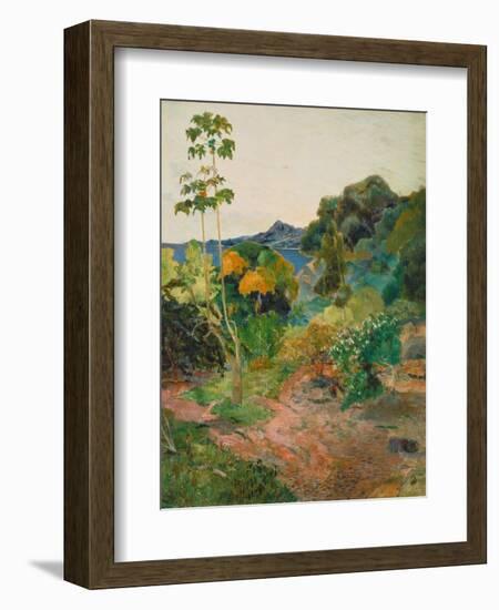 Martinique Landscape (Tropical Vegetation), 1887-Paul Gauguin-Framed Giclee Print