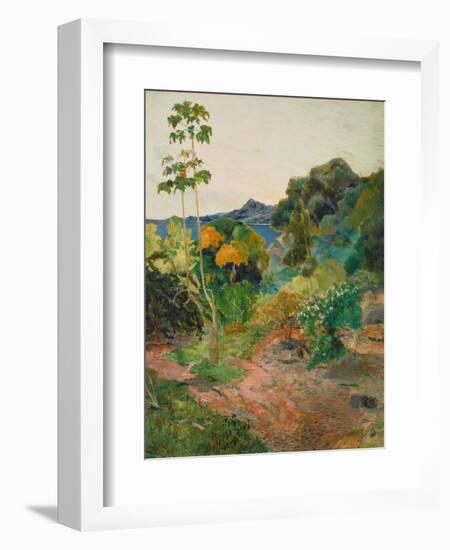 Martinique Landscape (Tropical Vegetation), 1887-Paul Gauguin-Framed Giclee Print