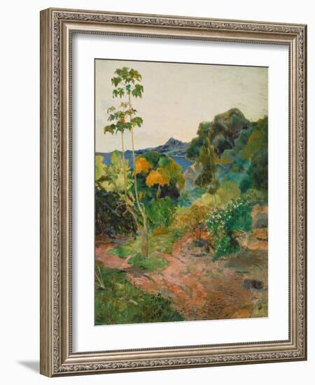 Martinique Landscape (Tropical Vegetation), 1887-Paul Gauguin-Framed Giclee Print