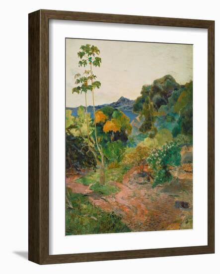 Martinique Landscape (Tropical Vegetation), 1887-Paul Gauguin-Framed Giclee Print