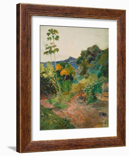 Martinique Landscape (Tropical Vegetation), 1887-Paul Gauguin-Framed Giclee Print