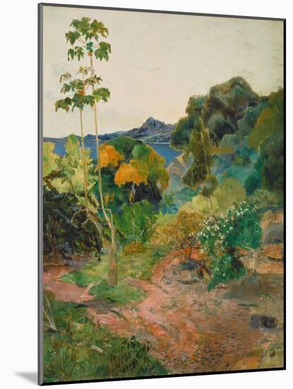 Martinique Landscape (Tropical Vegetation), 1887-Paul Gauguin-Mounted Giclee Print