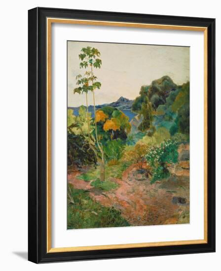 Martinique Landscape (Tropical Vegetation), 1887-Paul Gauguin-Framed Giclee Print