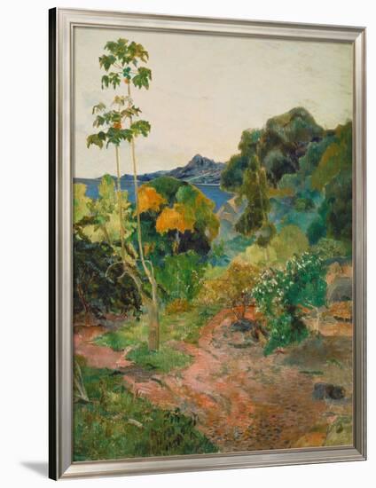 Martinique Landscape (Tropical Vegetation), 1887-Paul Gauguin-Framed Giclee Print