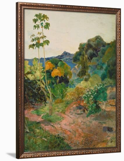 Martinique Landscape (Tropical Vegetation), 1887-Paul Gauguin-Framed Giclee Print