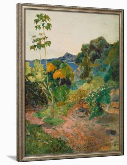 Martinique Landscape (Tropical Vegetation), 1887-Paul Gauguin-Framed Giclee Print