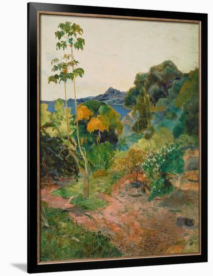 Martinique Landscape (Tropical Vegetation), 1887-Paul Gauguin-Framed Giclee Print