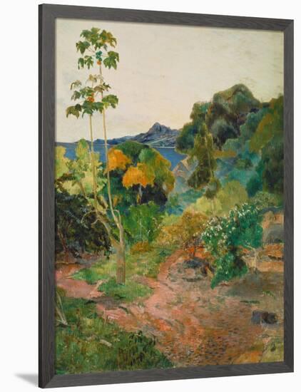 Martinique Landscape (Tropical Vegetation), 1887-Paul Gauguin-Framed Giclee Print