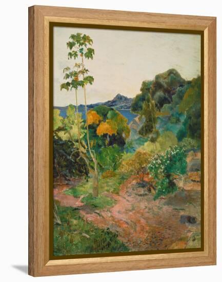 Martinique Landscape (Tropical Vegetation), 1887-Paul Gauguin-Framed Premier Image Canvas